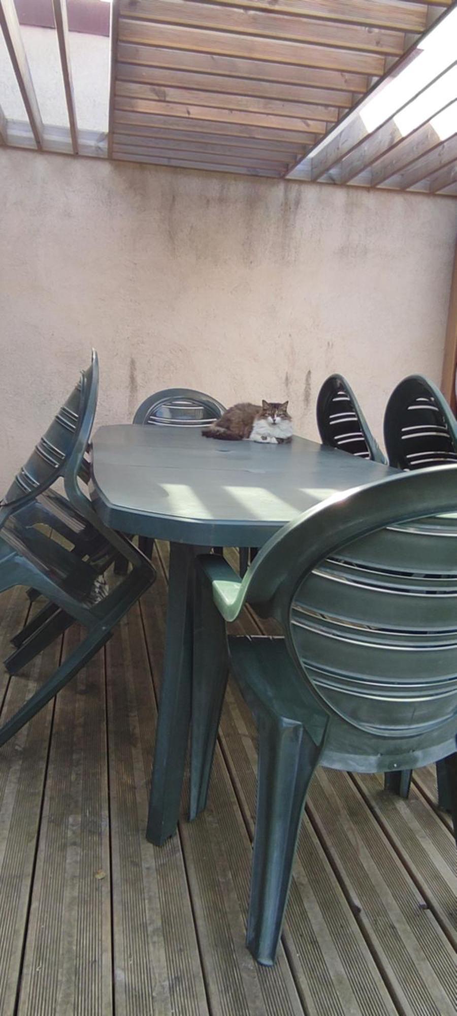 Berck Maison De Vacances Avec Terrasse Et Jardin, Zewnętrze zdjęcie